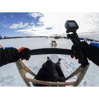 GoPro 3 Way Monopod/Tripod