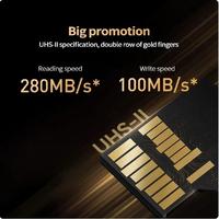 Lexar 256GB Professional GOLD microSD UHS-II Hafıza Kartı