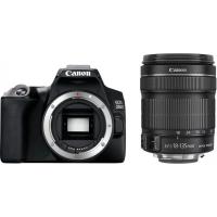 Canon EOS 250D 18-135mm IS STM Lensli Fotoğraf Makinesi
